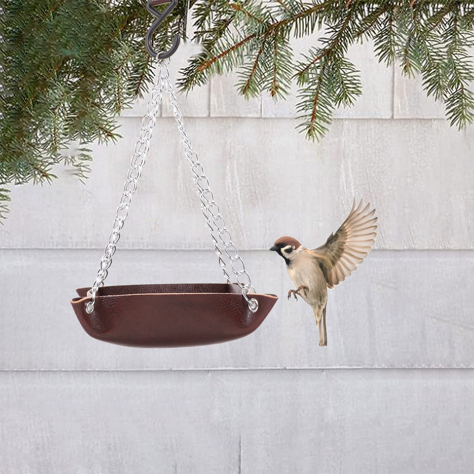 معلف طيور شفاف ومتين بتصميم مع - مراجعة Feeding وسعره